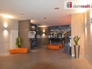 Pronájem bytu 1+kk, Praha - Žižkov, Olšanská, 37 m2