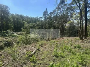 Prodej lesa, Nebužely, 27933 m2