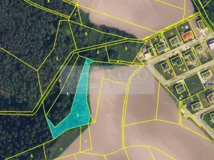 Prodej lesa, Jivina, 3138 m2