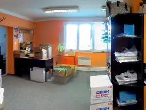 Pronájem výrobních prostor, Lážovice, 600 m2