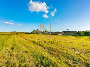 Prodej pozemku pro bydlení, Puclice, 3058 m2