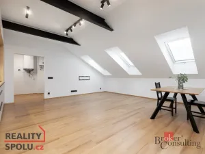 Prodej bytu 2+kk, Opava - Předměstí, Olomoucká, 65 m2