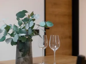 Prodej bytu 2+kk, Opava - Předměstí, Olomoucká, 65 m2