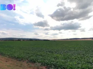 Prodej pole, Náměšť na Hané, 24109 m2