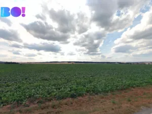 Prodej pole, Náměšť na Hané, 24109 m2