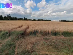 Prodej pole, Prostějov, 29929 m2