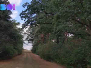 Prodej pole, Prostějov, 29929 m2