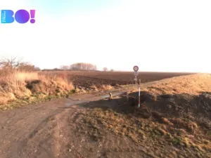 Prodej pole, Grygov, 5882 m2