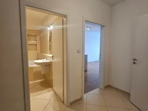 Pronájem bytu 2+kk, Praha, Kryšpínova, 59 m2
