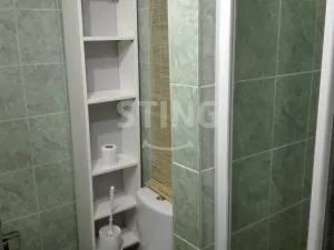 Pronájem bytu 2+1, Dolní Benešov, Osada míru, 56 m2