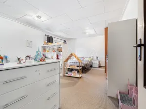 Prodej komerční nemovitosti, Česká Skalice - Spyta, 392 m2