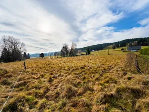 Prodej pozemku pro bydlení, Orlické Záhoří, 4018 m2