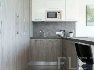 Pronájem bytu 1+kk, Praha - Žižkov, Olgy Havlové, 27 m2