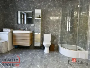 Prodej rodinného domu, 250 m2