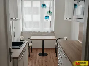 Pronájem bytu 1+1, Brno - Staré Brno, 45 m2