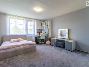 Prodej obchodního prostoru, Příbram - Příbram II, Fantova louka, 421 m2