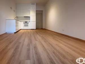 Pronájem bytu 2+kk, Praha, Plzeňská, 45 m2