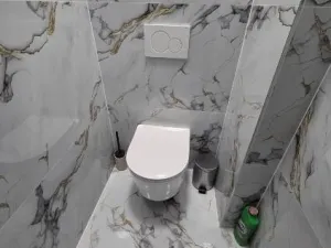 Pronájem bytu 3+kk, Zaječov, 54 m2