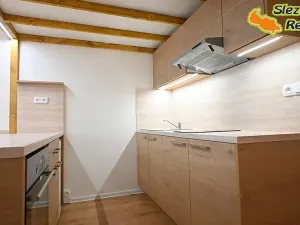 Pronájem bytu 1+kk, Ostrava, Palackého, 26 m2