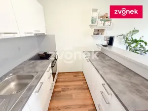 Pronájem bytu 2+kk, Zlín, Zelinova, 52 m2