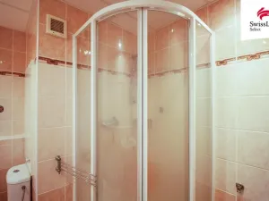 Pronájem bytu 1+1, Jihlava, Březinova, 42 m2