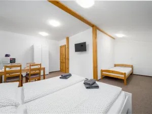 Prodej rodinného domu, Nový Bor - Janov, 280 m2