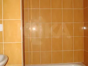 Pronájem bytu 1+1, Nové Mitrovice, 37 m2