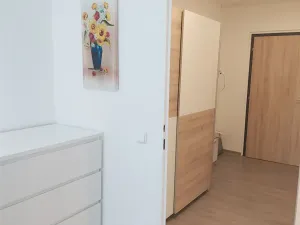 Pronájem bytu 2+kk, Mladá Boleslav, Jana Palacha, 44 m2