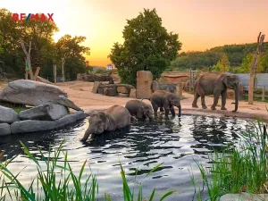 Prodej bytu 2+kk, Praha - Bohnice, Zelenohorská, 43 m2