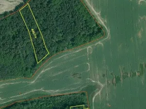 Prodej lesa, Lipí - Kaliště u Lipí, 23659 m2