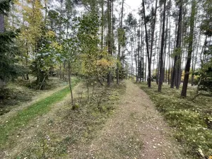 Prodej lesa, Lipí - Kaliště u Lipí, 23659 m2