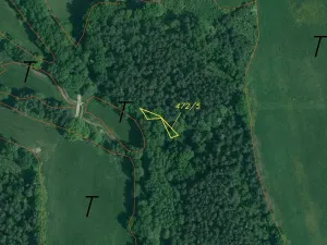 Prodej lesa, Lipí - Kaliště u Lipí, 23659 m2