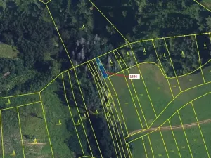 Dražba lesa, Spešov, 135 m2