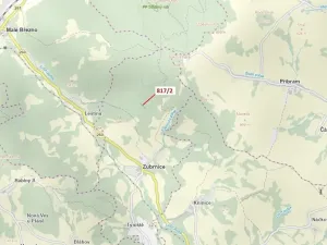 Dražba lesa, Zubrnice, 815 m2