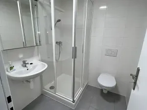 Pronájem bytu 1+kk, Brno, Hády, 18 m2