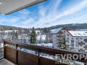 Prodej bytu 1+1, Jiřetín pod Bukovou, 41 m2