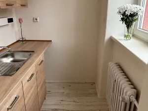 Pronájem bytu 1+kk, Frýdek-Místek, Bruzovská, 25 m2