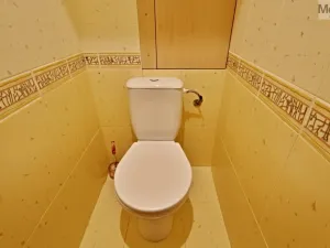 Pronájem bytu 2+1, Most, Zdeňka Fibicha, 53 m2