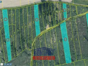 Prodej lesa, Letiny - Svárkov, 12818 m2