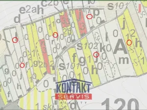 Prodej lesa, Letiny - Svárkov, 12818 m2