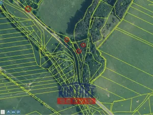 Prodej lesa, Mokrosuky, 6236 m2