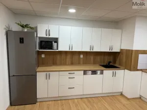 Pronájem bytu 2+kk, Most, Pod Šibeníkem, 48 m2