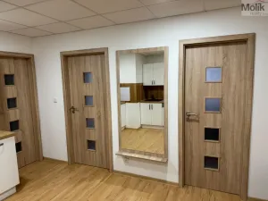 Pronájem bytu 2+kk, Most, Pod Šibeníkem, 48 m2