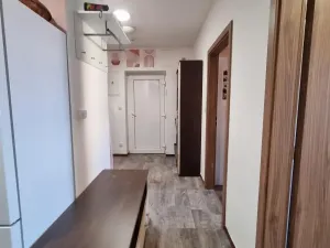 Pronájem bytu 2+1, Skalice - Skalička, 50 m2