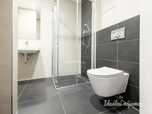 Pronájem bytu 2+kk, Praha - Chodov, Šternovská, 59 m2