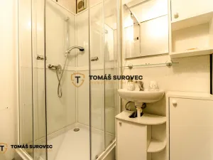 Pronájem bytu 1+1, Zlín, Větrná, 60 m2