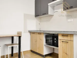 Pronájem bytu 1+kk, Ústí nad Labem - Ústí nad Labem-centrum, Čajkovského, 15 m2