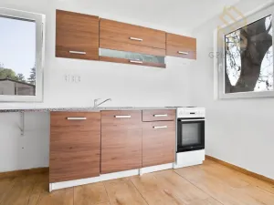 Prodej chaty, Louny, Komenského náměstí, 33 m2