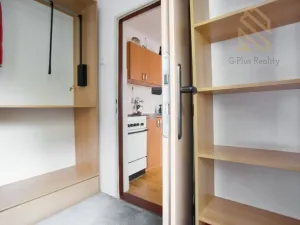 Pronájem bytu 2+1, Litvínov - Chudeřín, Horská, 38 m2