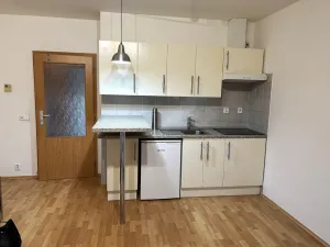 Pronájem bytu 1+kk, Brno - Líšeň, Molákova, 43 m2